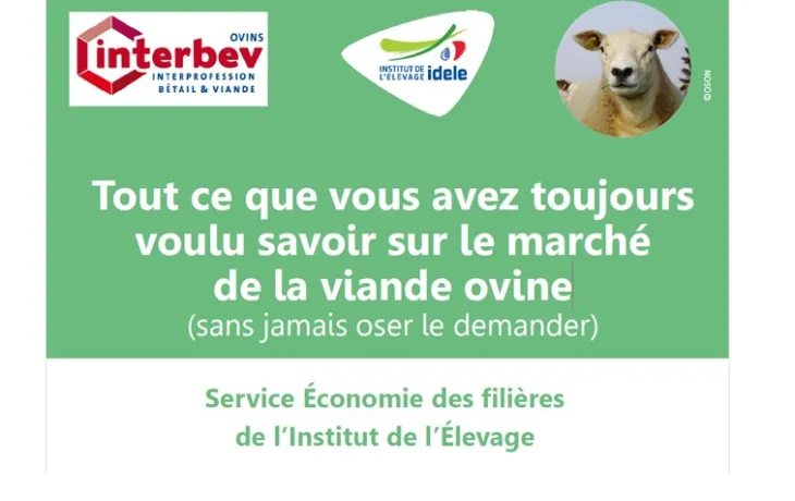 diapo fondamentaux marché viande ovine