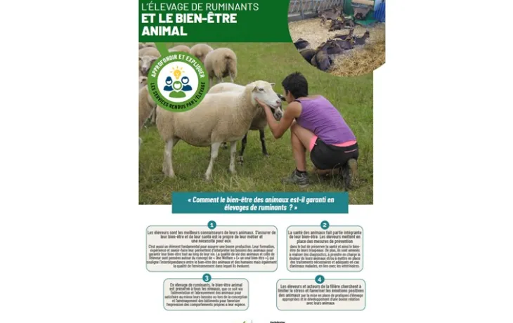 Fiche CNE Elevage BEA