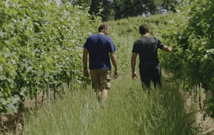 Terre de Vignerons