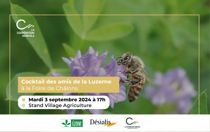 Cocktail - Foire de chalon 2024