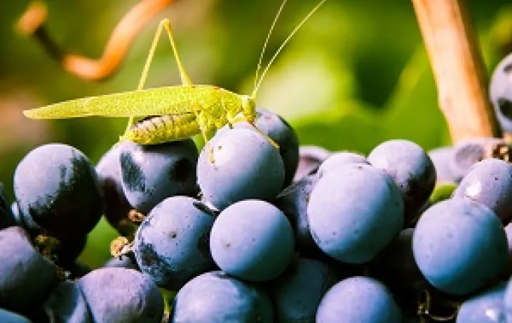 Solutions coopératives