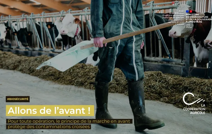 3 - ALLONS DE L'AVANT