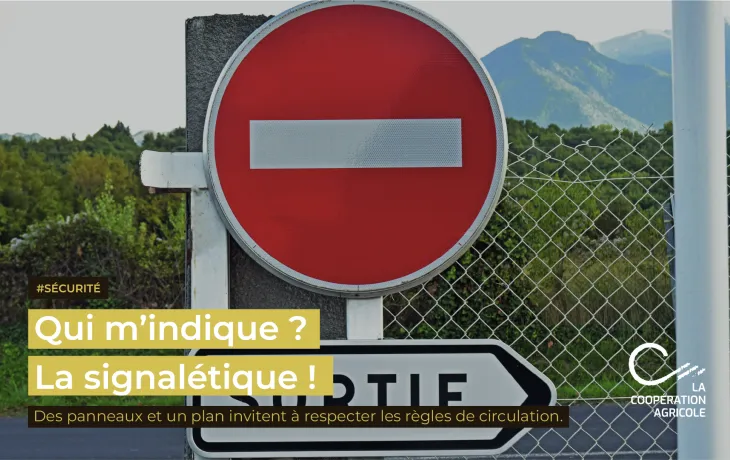 7 - SIGNALETIQUE