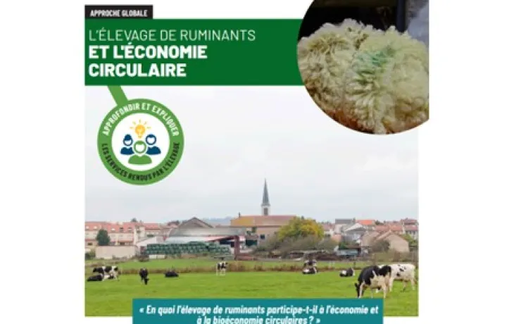CNE économie circulaire