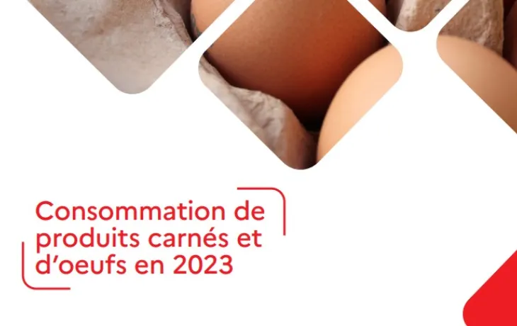 Bilan produits carnés 2024