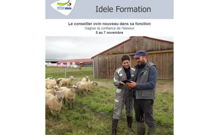 idele formation conseiller ovin