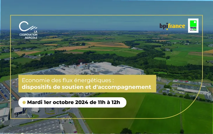 Webinaire - Flux énergétiques