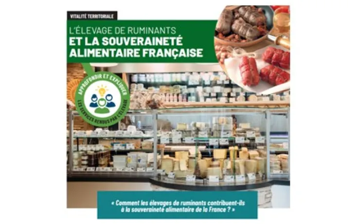 souveraineté CNE