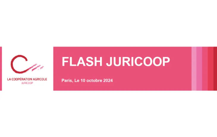 Flash Juricoop