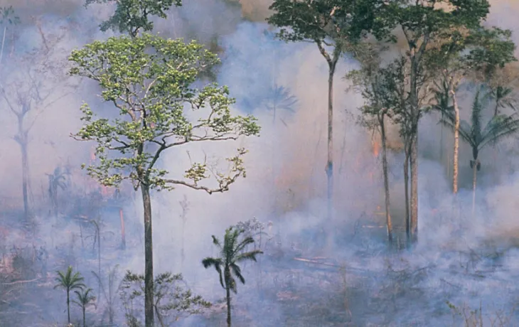 Déforestation EUDR