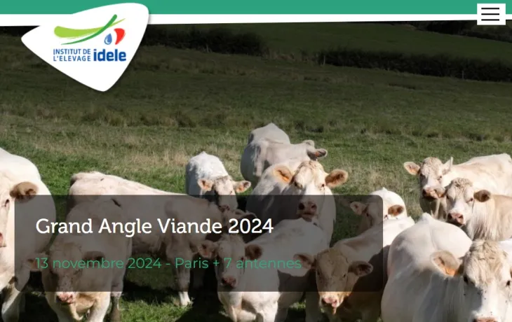 Grand angle viande 2024