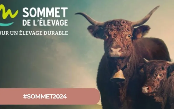 Sommet2024