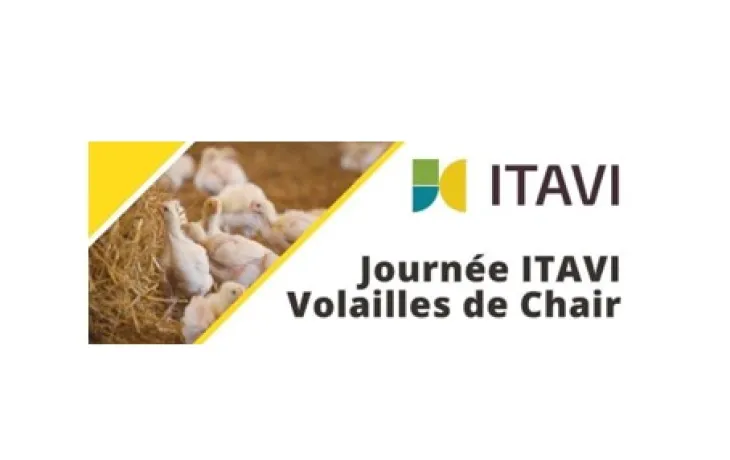visuel journée itavi