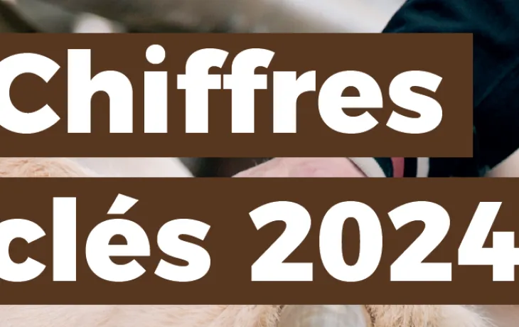 Chiffres Clés 2024 NUTA