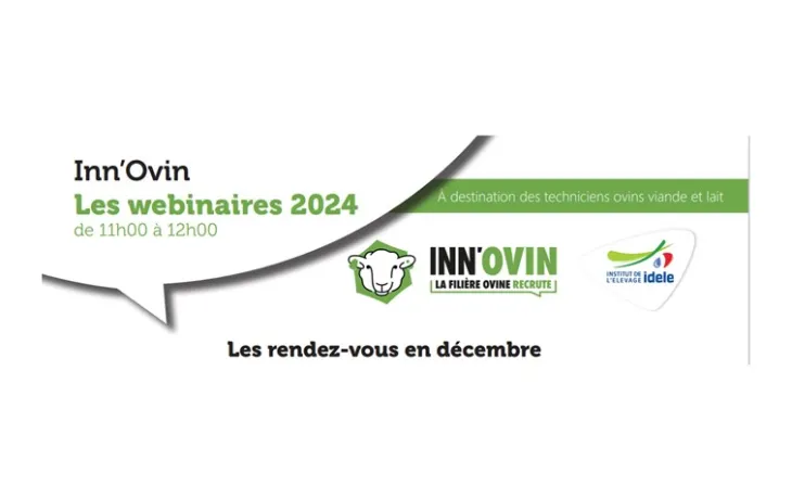 Innovin webinaires décembre 2024