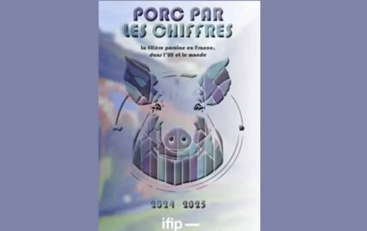 Porc par le chiffre ifip