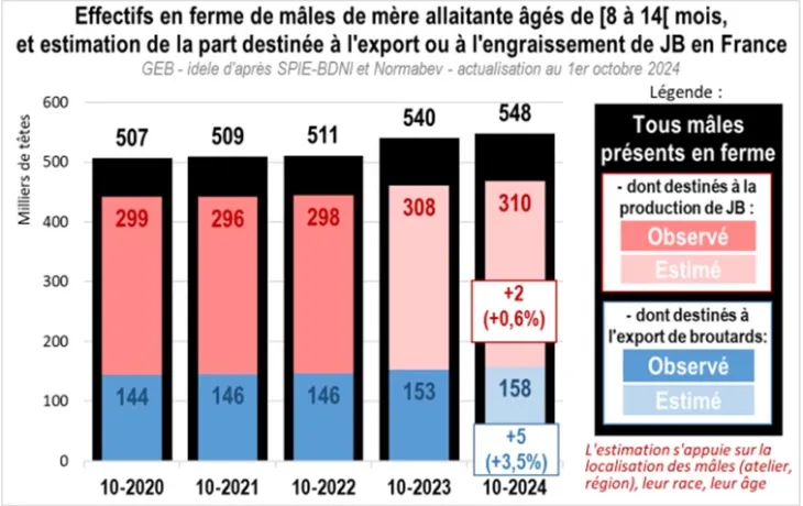 bulletin voie male