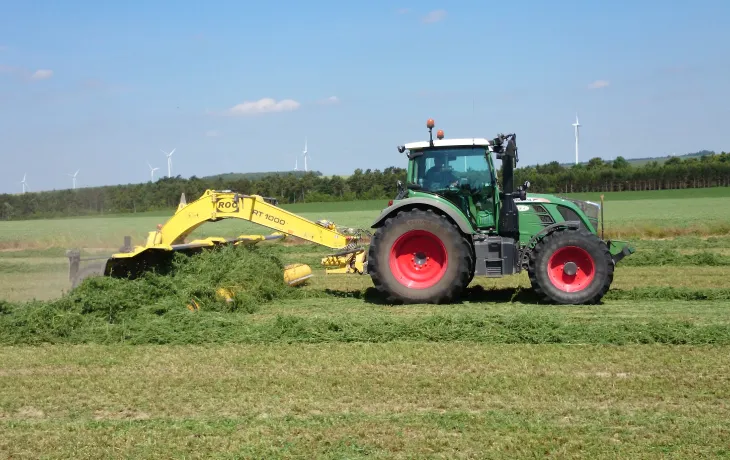 Luzerne déshydratée