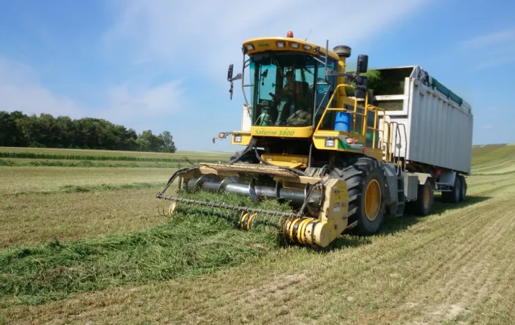 Luzerne déshydratée