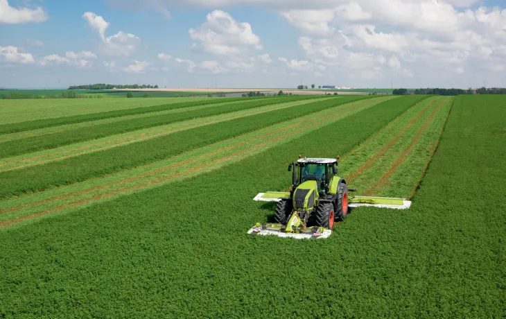 Luzerne déshydratée