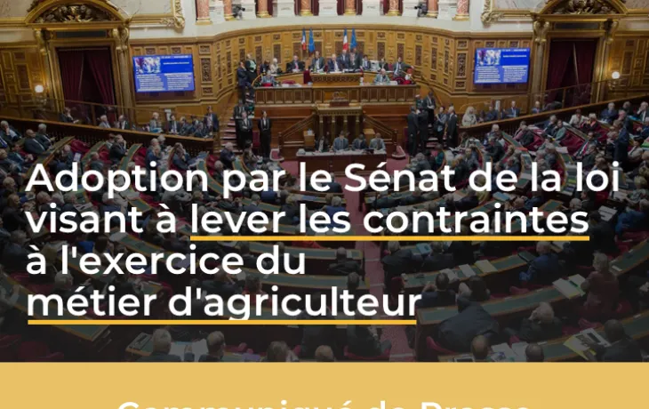 Visuel du Senat