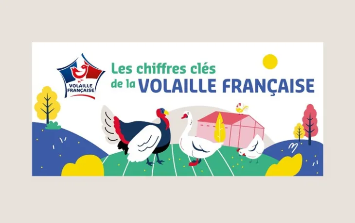 Chiffres clés de la volaille française