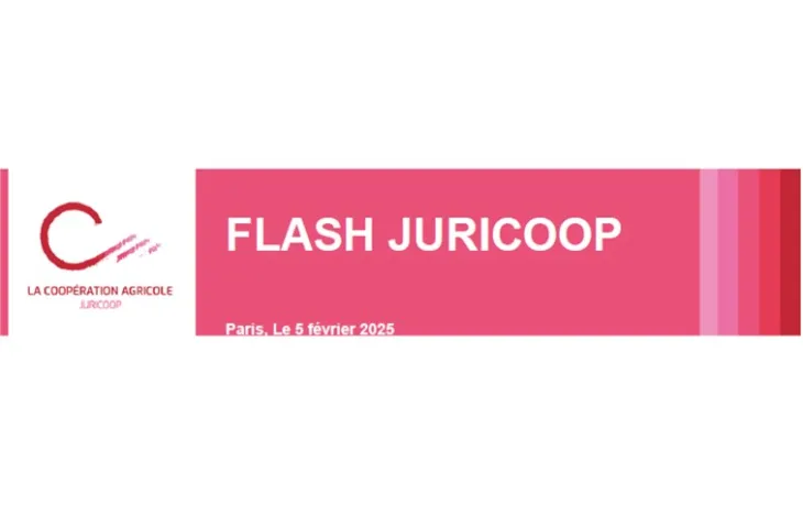 Flash Juricoop