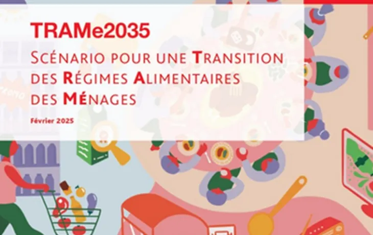 TRAMe2035