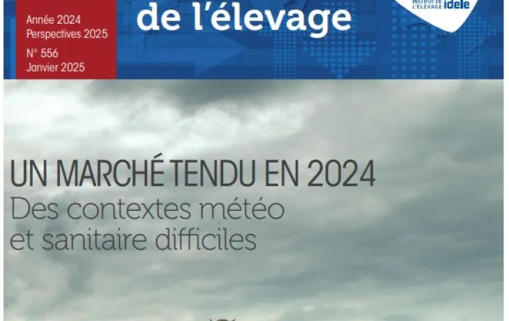 Dossier viande 2024