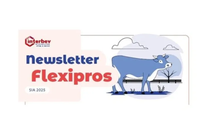 visuel flexi pro 2025