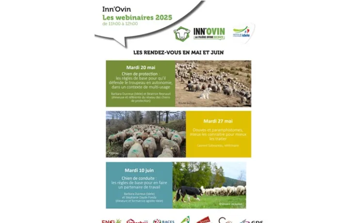 flyer webinaire innovin mai et juin 2025