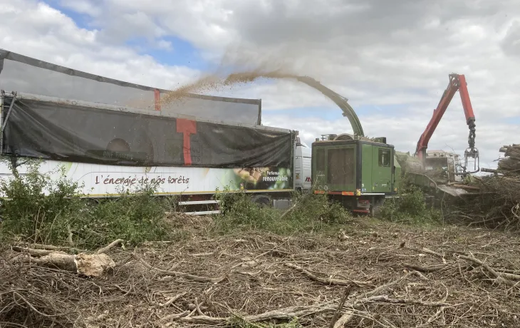 plaquettes forestières
