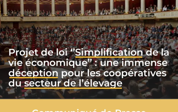 CP Simplification de la vie économique