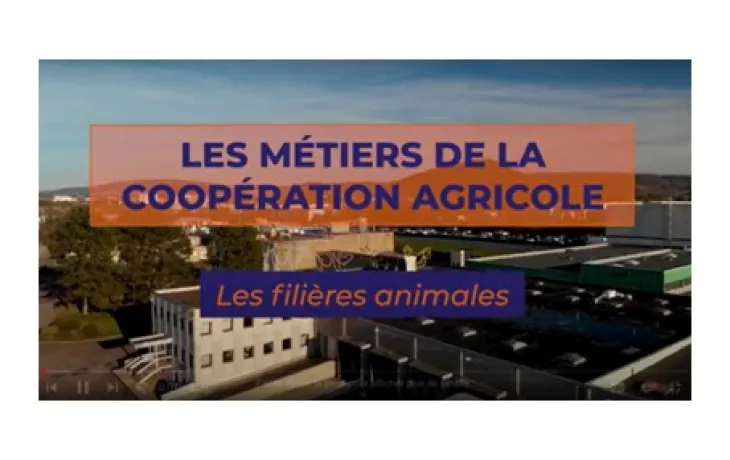 miniature vidéo aval des métiers en coopérative agricole