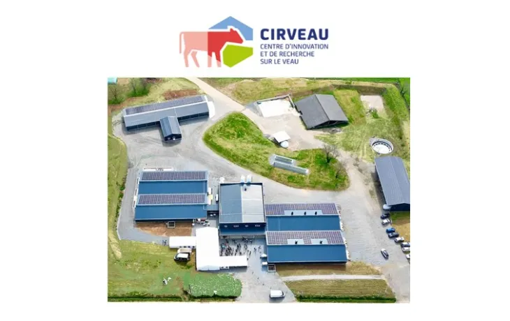 CIRVEAU