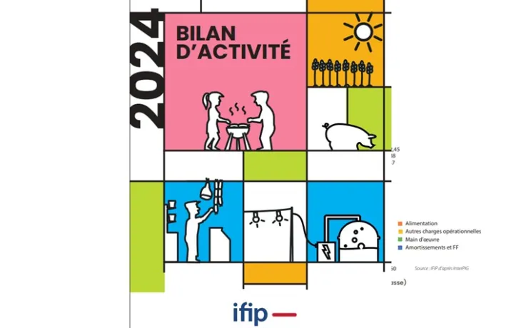 Bilan d'activité IFIP 2024