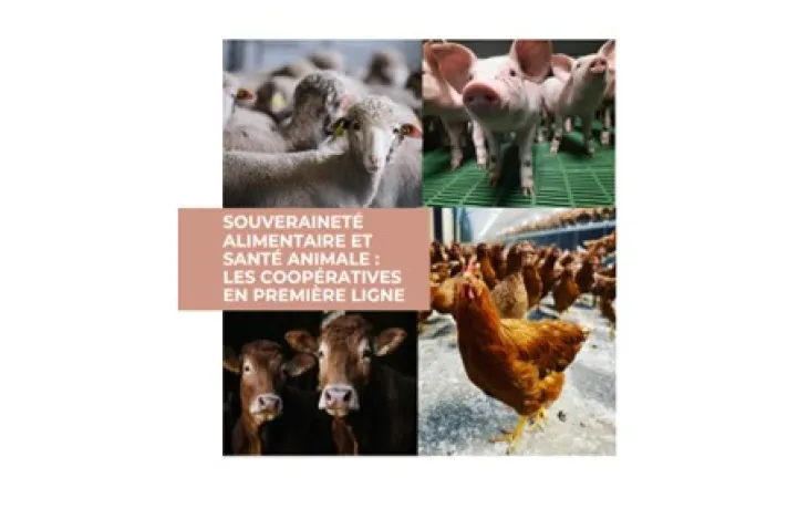 couverture DP déjeuner presse 2025