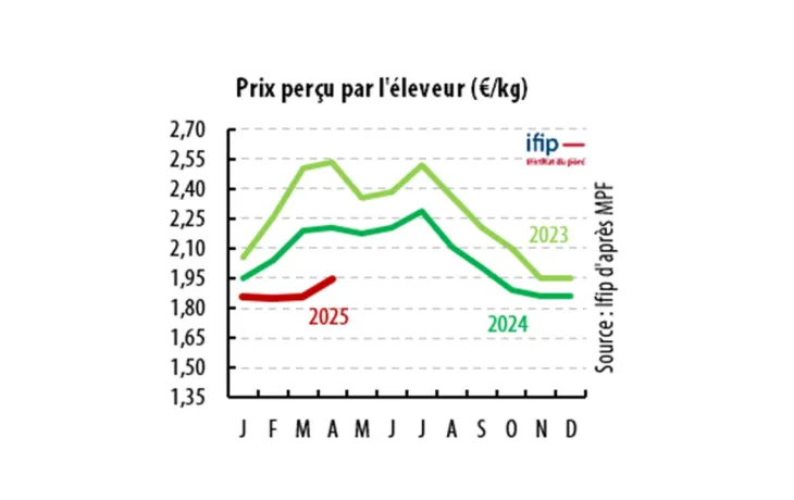 Indicateurs IFIP Juillet 2025