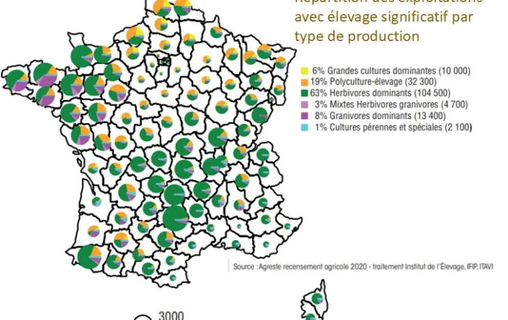 Traitement RGA 2020-Idele