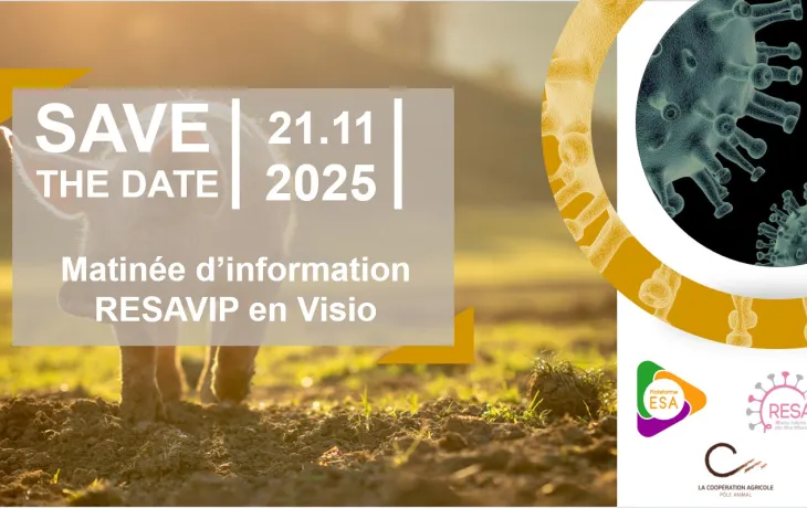 save the date resavip 2025