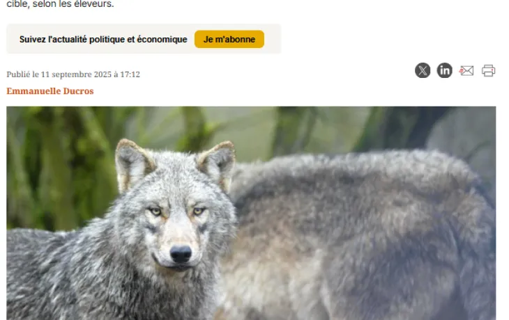 article Les échos septembre 2025