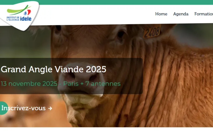 grand angle viande 2025