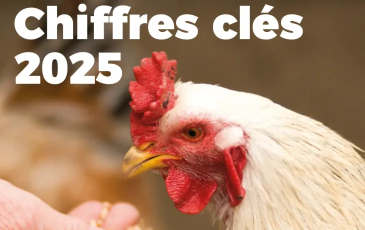 Chiffres clefs nutrition animale 2025