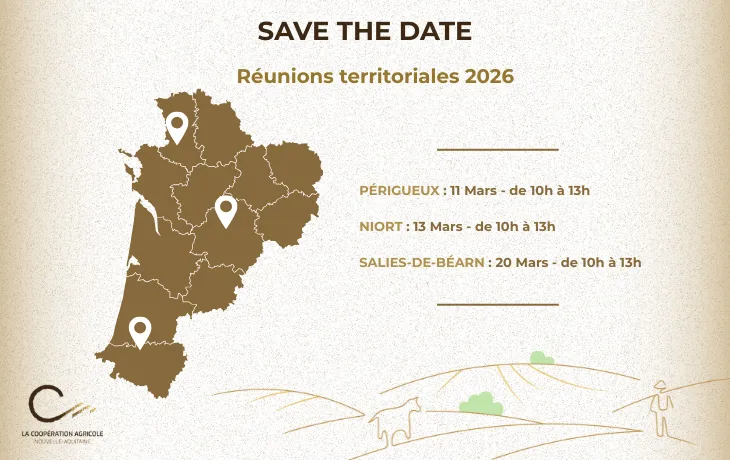 territoriales 2026