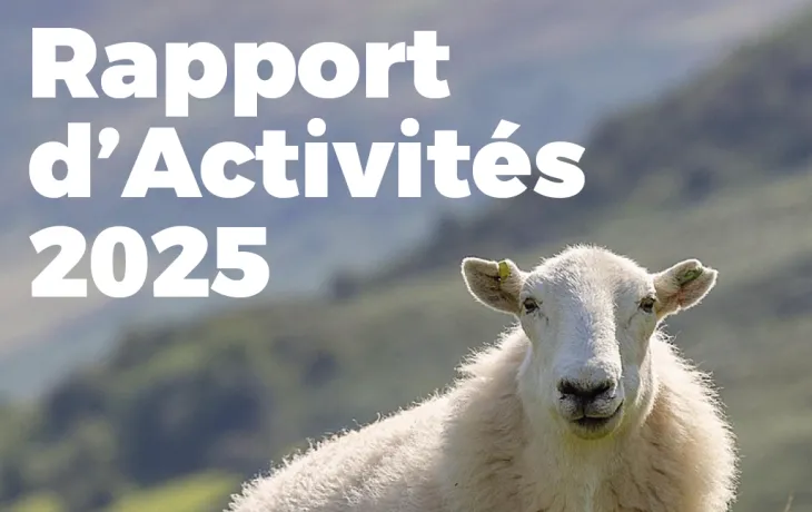 Rapport activités NA 2025