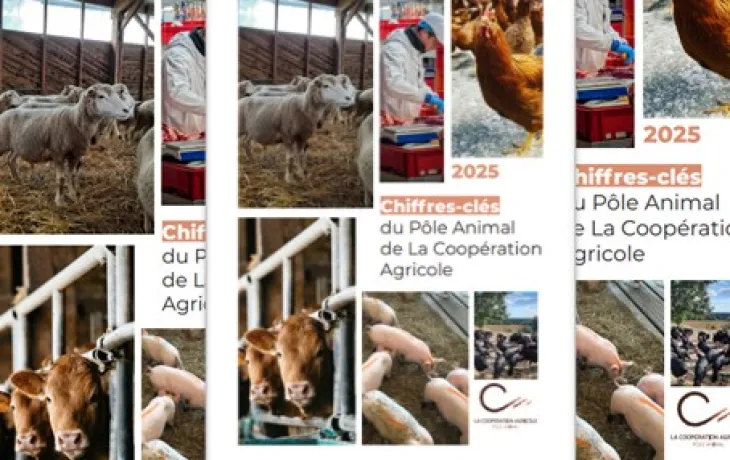 Chiffres clés PA 2025