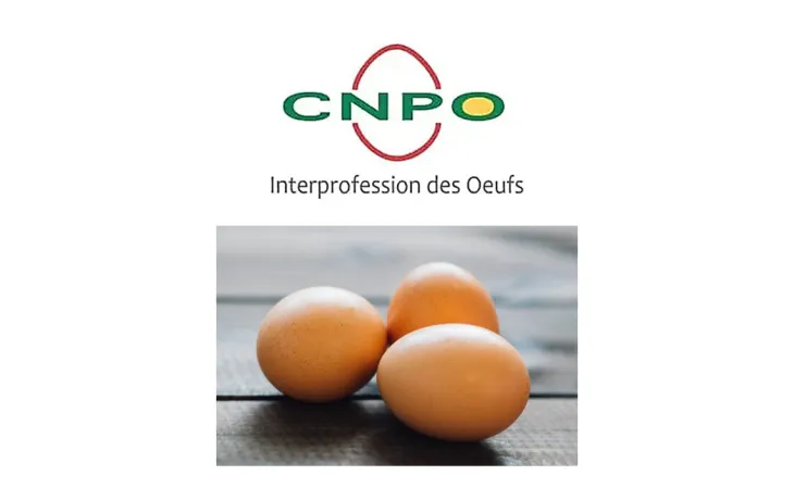 CNPO