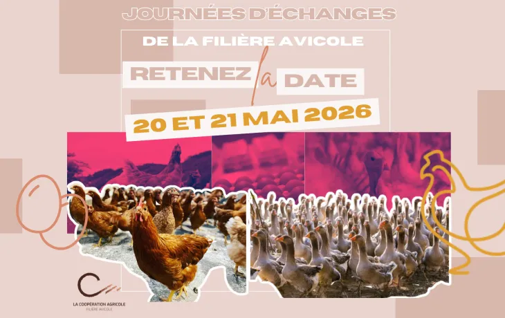 Journées avicole 2026