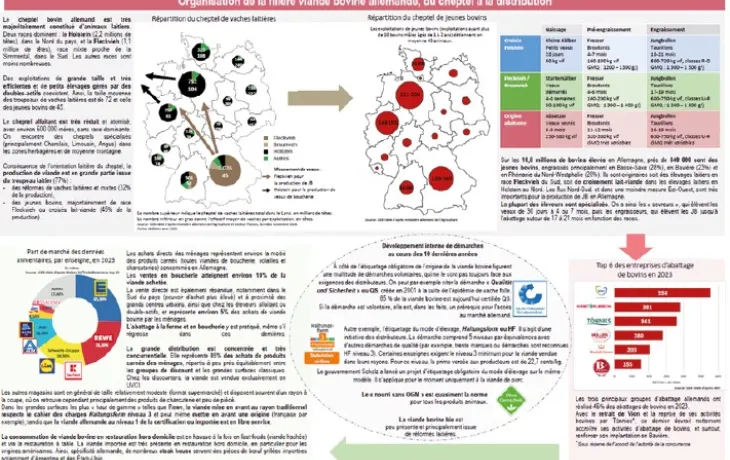 Etude interbev allemagne