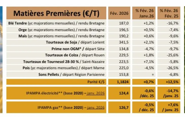 TB NA Février 2026